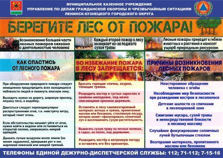 Берегите лес от пожара.jpg